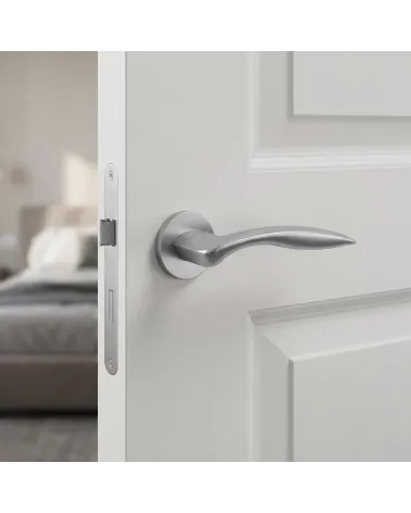 Poignée de Porte Chrome Satiné à la finition prestigieuse - ROBINE