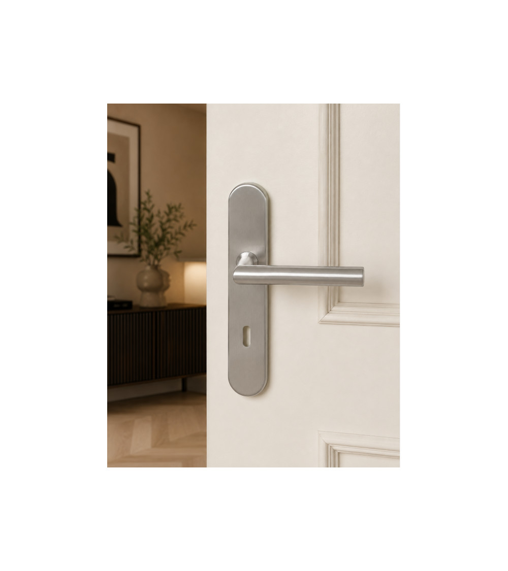 Poignée de porte sur plaque 165 mm finition inox brossé – modèle Altesse