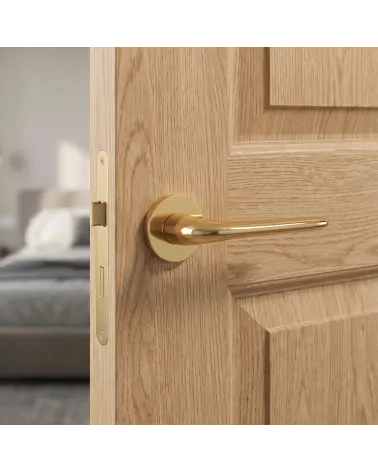 Poignée de Porte Or Chic pour une déco prestigieuse - Modèle AZALIA