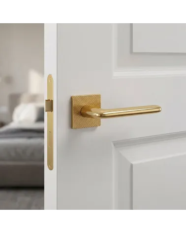 Poignée de Porte Or Poli pour une déco luxueuse - Modèle TUPAI 4165-T2