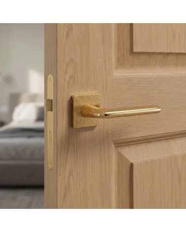 Poignée de Porte Or Poli pour une déco luxueuse - Modèle TUPAI 4165-T2