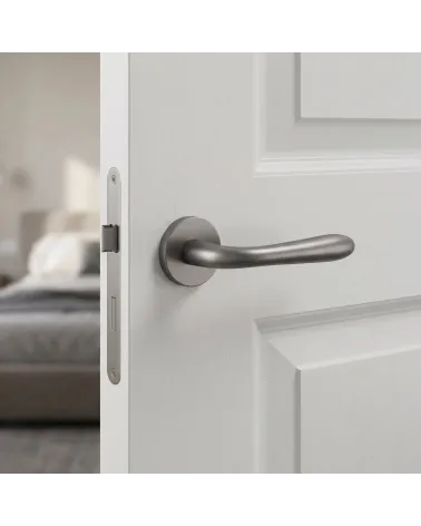 Poignée de Porte Titane au charme distingué - Modèle TUPAI 294