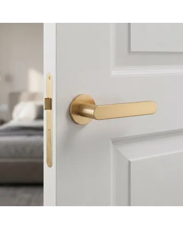 Poignée de Porte Dorée Mate à la brillance douce - Modèle ALORA
