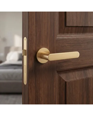 Poignée de Porte Dorée Mate à la brillance douce - Modèle ALORA