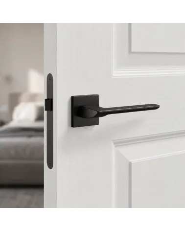Poignée de Porte Contemporaine pour une déco ultra design - ASTRA
