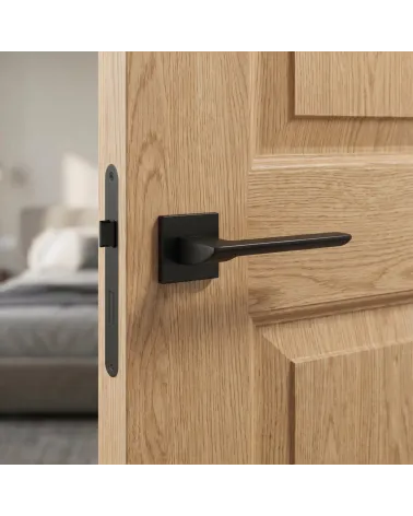 Poignée de Porte Contemporaine pour une déco ultra design - ASTRA