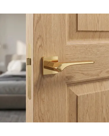 Poignée de Porte Or Poli pour un éclat incomparable - Modèle BERGERIA