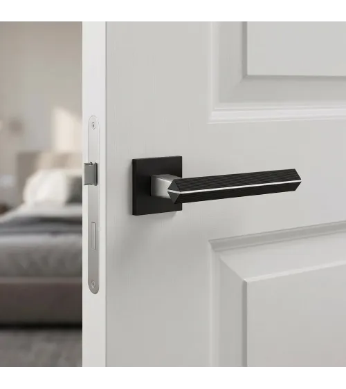 Poignée de porte en zamak CARRERA poignée design couleur 1