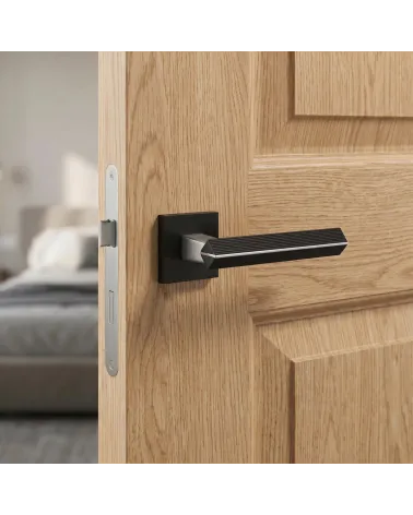 Poignée de Porte en Zamak pour une expérience fluide - Modèle CARRERA
