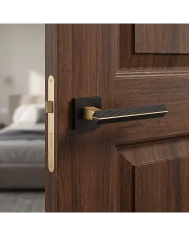 Poignée de Porte Bicolore Or Mat/Noir Sophistiquée - Modèle CARRERA