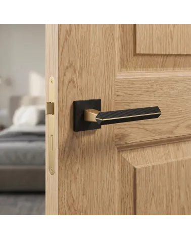 Poignée de Porte Bicolore Or Mat/Noir Sophistiquée - Modèle CARRERA