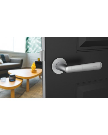 Poignée de porte Classique ARIA poignée design couleur 3 vue de face montée sur une porte entrouverte