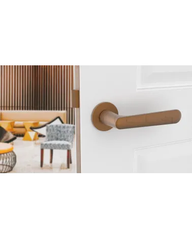 Poignée de porte Classique ARIA poignée design couleur 1 vue de face montée sur une porte