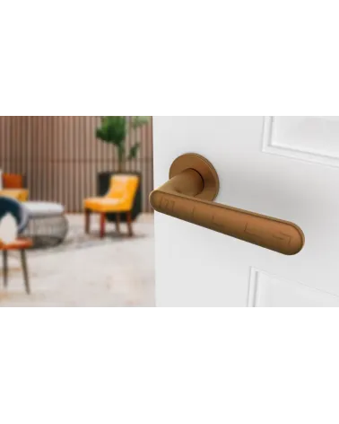 Poignée de porte Classique ARIA poignée design couleur 1 vue de haut inclinée montée sur une porte