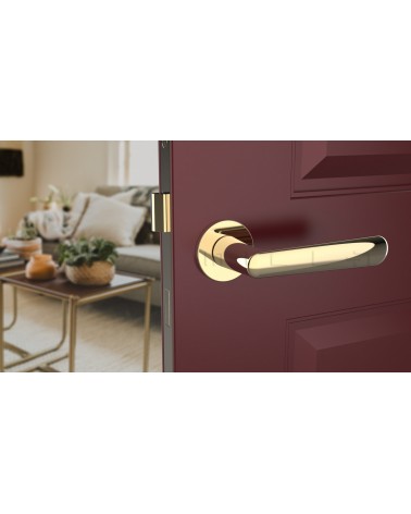 Poignée de porte ARIA poignée design couleur 3 vue de face montée sur une porte