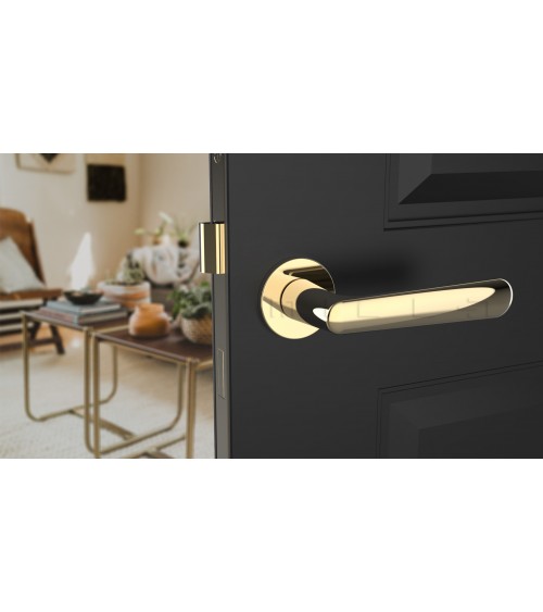 Poignée de porte ARIA poignée design couleur 3