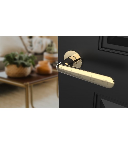 Poignée de porte ARIA poignée design couleur 3
