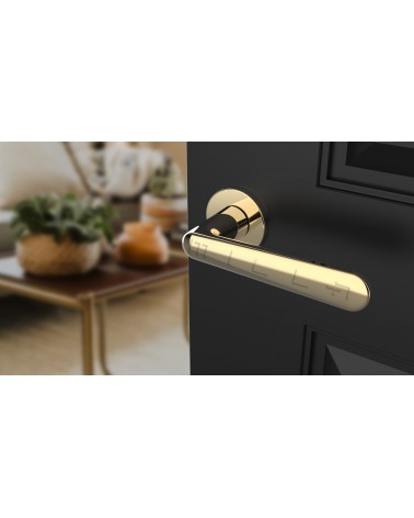 Poignée de porte ARIA poignée design couleur 3 vue de haut inclinée montée sur une porte