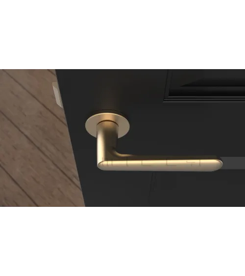Poignée de porte Classique ARIA poignée design couleur 2