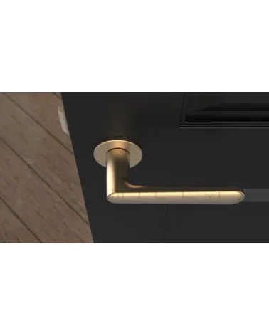 Poignée de porte Classique ARIA poignée design couleur 2 vue de haut montée sur une porte