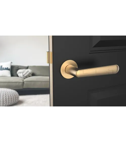 Poignée de porte Classique ARIA poignée design couleur 2
