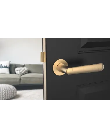 Poignée de porte Classique ARIA poignée design couleur 2 vue de face montée sur une porte