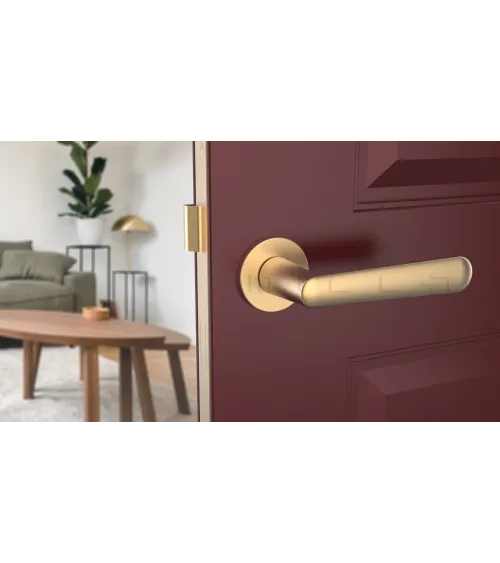 Poignée de porte Classique ARIA poignée design couleur 2