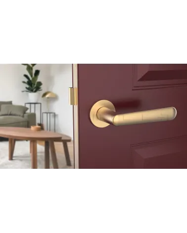 Poignée de porte Classique ARIA poignée design couleur 2 vue de face montée sur une porte entrouverte