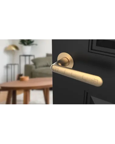 Poignée de porte Classique ARIA poignée design couleur 2 vue de haut inclinée montée sur une porte