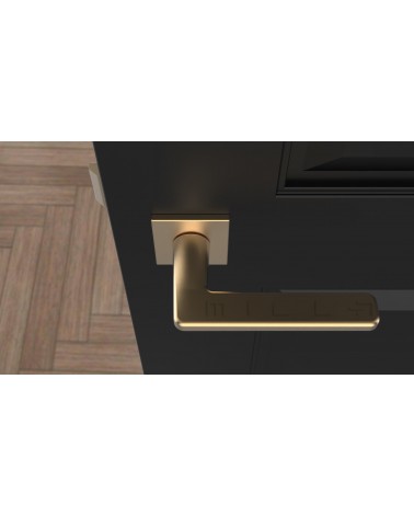 Poignée de porte SETIA poignée design couleur 5 vue de haut montée sur une porte