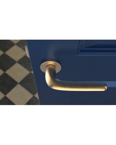Poignée de porte Or mat AZALIA poignée design vue de haut montée sur une porte