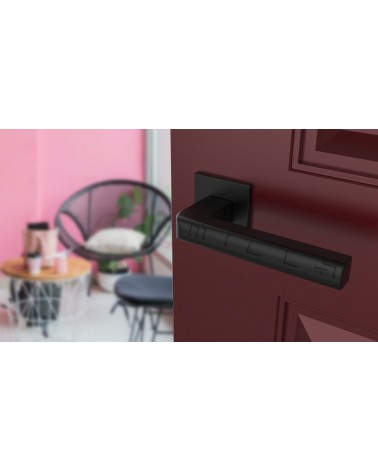 Poignée de porte noire SALICE quincaillerie design vue inclinée montée sur une porte