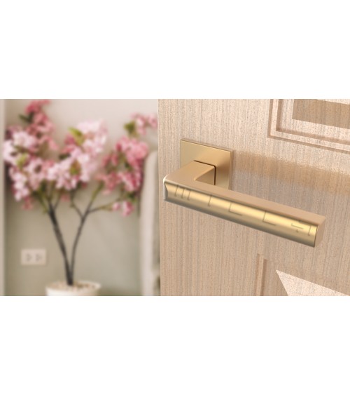 Poignée de porte or mate SALICE quincaillerie design