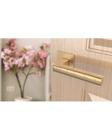 Poignée de porte or mate SALICE quincaillerie design vue inclinée montée sur une porte