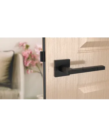 Poignée de porte PYROLA quincaillerie design couleur 2 vue de face montée sur une porte