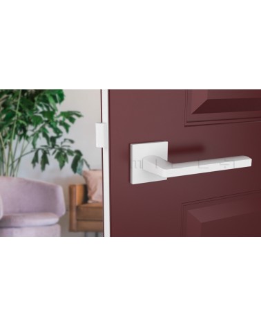 Poignée de porte PYROLA quincaillerie design couleur 4 vue de face montée sur une porte