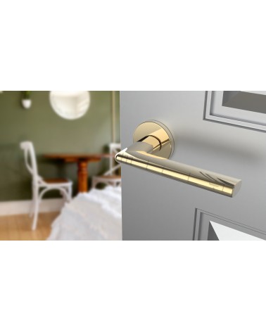 Poignée de porte classique KALMIA poignée design couleur 2 vue de haut inclinée montée sur une porte