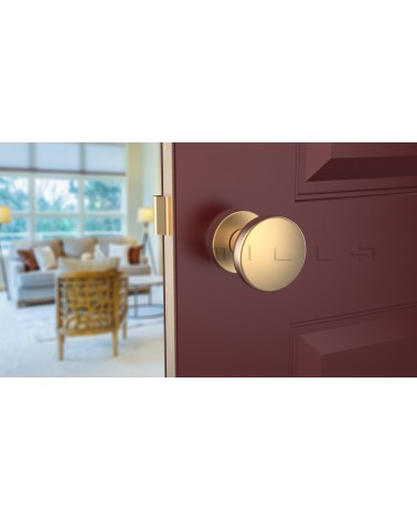 Bouton de porte Chrome satiné MESA Rond mobile