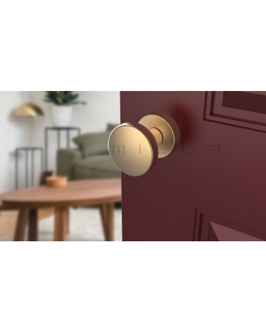 Bouton de porte Chrome satiné MESA Rond mobile