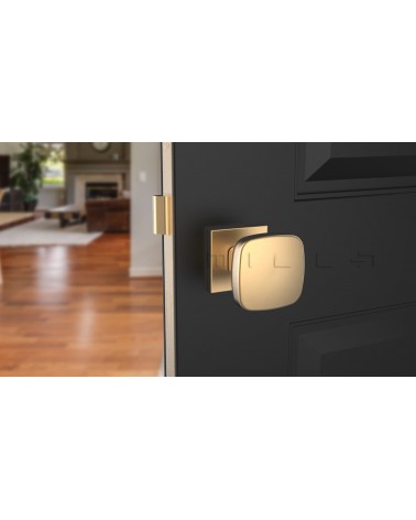 Bouton de porte Blanc KIAMA carré -  poignée design