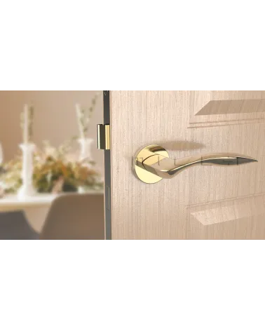 Poignée de porte ROBINE quincaillerie design couleur 2 vue de face montée sur une porte