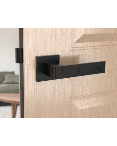 Poignée de porte noire Apollo poignée design vue de face montée sur une porte