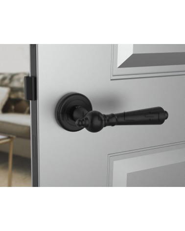 Poignée de porte noire MILLENAIRE poignée design vue de face montée sur une porte