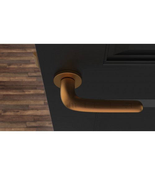 Poignée de porte sur plaque ronde AZALIA poignée design couleur 4