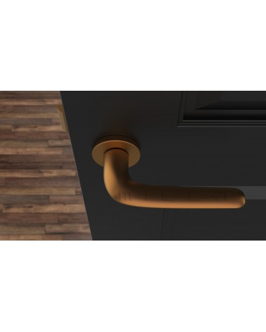Poignée de porte sur plaque ronde AZALIA poignée design couleur 4 vue de haut montée sur une porte