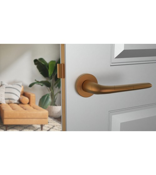 Poignée de porte sur plaque ronde AZALIA poignée design couleur 4