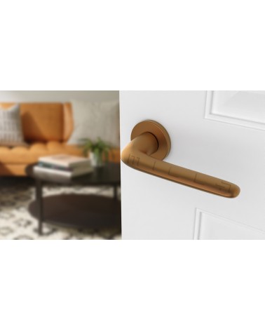 Poignée de porte sur plaque ronde AZALIA poignée design couleur 4 vue de haut inclinée montée sur une porte