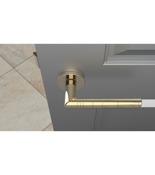 Poignée de porte sur plaque ronde SILENA poignée design couleur 3