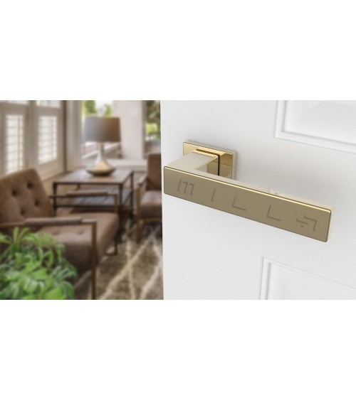 Poignée de porte sur plaque rectangulaire PINA poignée design couleur 3