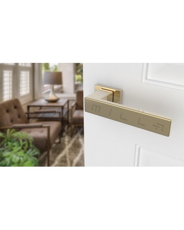 Poignée de porte sur plaque rectangulaire PINA poignée design couleur 3 vue de haut inclinée montée sur une porte